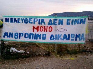 Συνεχίζουν ελεύθερα το ταξίδι τους στο Αιγαίο τα δύο ρινοδέλφινα