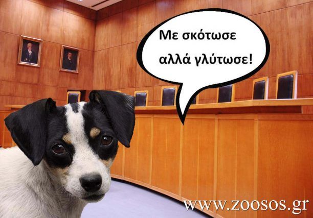 Θεσσαλονίκη: Σκότωσε τον σκύλο στα Κουφάλια καταδικάστηκε και τώρα δεν θα τιμωρηθεί γι’ αυτό!