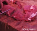 Ολλανδοί επιστήμονες δημιούργησαν εργατηριακό κρέας. Σε 6 μήνες θα δοθεί για κατανάλωση!