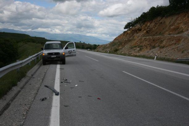 Φλώρινα: Άλλο ένα τροχαίο με θύμα αρκούδα!