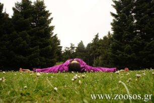 Με τους εθελοντές στην Πάρνηθα κόντρα στη μιζέρια!