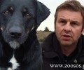 Στυλίδα: Καταγγέλλουν τον Α. Γκλέτσο γιατί έδωσε εντολή να θανατωθεί αδέσποτος σκύλος