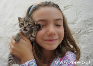 Ένα κοριτσάκι και ένα γατάκι