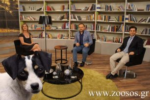 Το www.zoosos.gr στο «Όλα για την υγεία μου» του MEGA