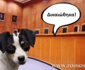 Δεν παραβρέθηκε κατά την εκδίκαση της έφεσης ο δολοφόνος του σκύλου στα Κουφάλια Θεσσαλονίκης