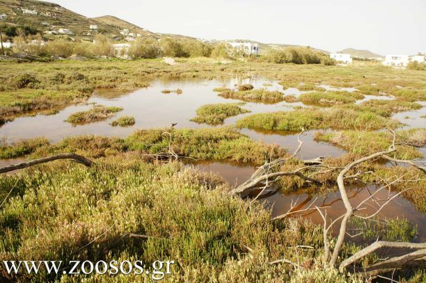 Καλό νέο η υπογραφή του Προεδρικού Διατάγματος για τους υγροτόπους