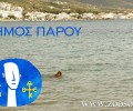 Δήμος Πάρου: Δείγμα πολιτισμού η συμπεριφορά μας απέναντι στα ζώα!