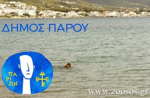 Την πρόθεση του να αναλάβει τις ευθύνες του για τα αδέσποτα τονίζει ο Δήμος Πάρου