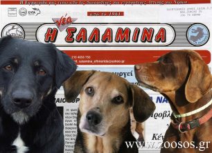 Σαλαμίνα: Όταν οι δημοσιογράφοι παρουσιάζουν τα σκυλιά ως τέρατα!