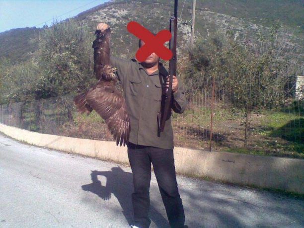 Καλαμάτα: Πυροσβέστης σκότωσε γερακίνα και καμάρωνε κρατώντας το ετοιμοθάνατο πουλί