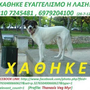 Την ψάχνουν εδώ και μήνες
