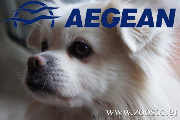 Τι απαντά η Aegean Airlines για τον Πικατσού
