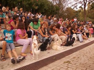 Πλήθος κόσμου στα Αντικαλλιστεία Σκύλων στα Χανιά