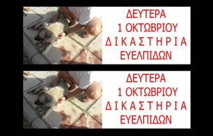 Λιντσάρισαν τον Έλληνα που θέλησε να λιώσει τον σκύλο του στην άσφαλτο στον Μαραθώνα (βίντεο)