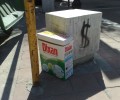 Θεσσαλονίκη: Πέταξε τα γατάκια στα σκουπίδια μέσα στο κουτί απ’ το Dixan