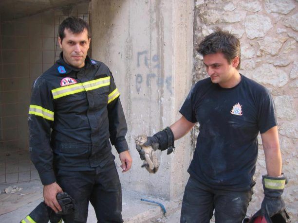Οι πυροσβέστες έσωσαν το γατάκι στο Ηράκλειο Κρήτης