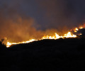 Χίος: Η επόμενη μέρα μετά την τεράστια καταστροφή από την πυρκαγιά...
