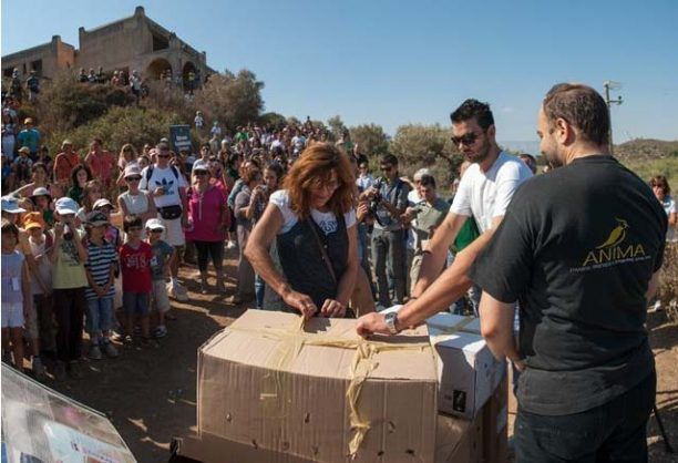 Οι νέοι ενώνονται για την προστασία της άγριας ζωής