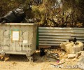 Πέταξαν στα σκουπίδια τις κότες ζωντανές στη Νάουσα της Πάρου