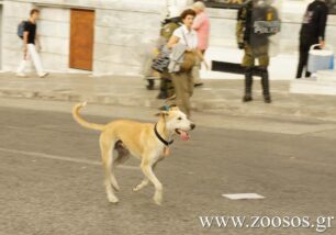 Ο αντικαταστάτης του Λουκάνικου κινδυνεύει εξίσου…