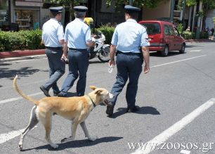 Γιατί η Αστυνομία στον Βόλο υποτιμά τόσο το έργο των φιλόζωων;