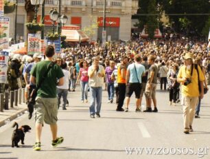 Ο Δήμος Αθηναίων και οι υπεύθυνες υιοθεσίες ζώων