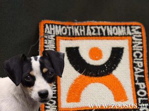 Σφραγίστηκε ακόμα ένα pet shop που λειτουργούσε παράνομα στην Αγία Μαρίνα Αττικής