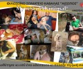 12 ιστορίες ανθρώπων που έσωσαν ζώο στο ημερολόγιο του «Αισώπου»