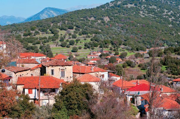 Δάφνη Ναυπακτίας: Σκότωσε το σκυλί μπροστά στα παιδιά επειδή μπήκε στο χωράφι του