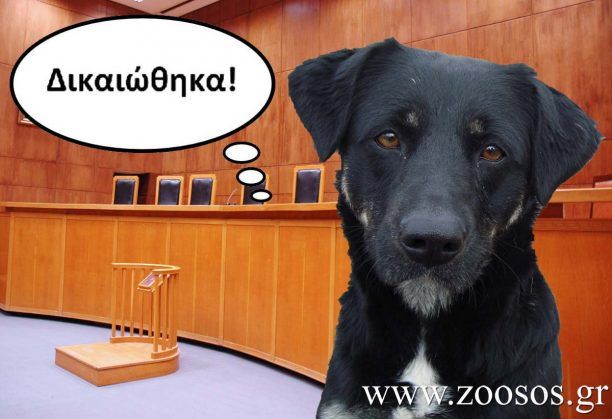 Σητεία: Ποινή «σταθμός» για να σταματήσει το μαρτύριο των «βαρελόσκυλων» στην Κρήτη