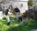5.000 ευρώ πρόστιμο και ποινή φυλάκισης για τα σκυλιά που ήταν δεμένα στα σκουπίδια στο Ηράκλειο Αττικής