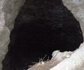 Καστέλι Χανίων: Έσωσαν μέσα από τον σύγχρονο Καιάδα τον σκελετωμένο σκύλο