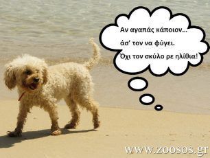 Αν τον αγαπάς…