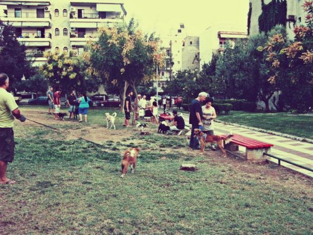 Ετοιμάζεται το πάρκο σκύλων στην Κάτω Τούμπα από τον Δήμο Θεσσαλονίκης