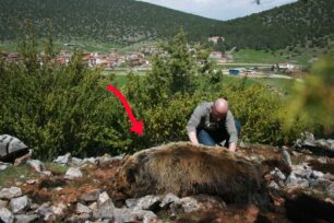 Στον Συνήγορο του Πολίτη εξέθεσαν το πρόβλημα με τις φόλες οι Φορείς Διαχείρισης Προστατευόμενων Περιοχών