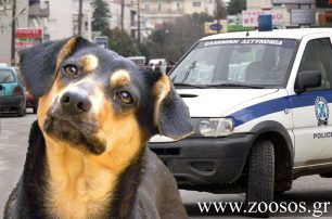 Καβάλα: Στις 22-3-2013 θα δικαστεί ο δράστης που πυροβόλησε τον σκύλο στον Πλατανότοπο