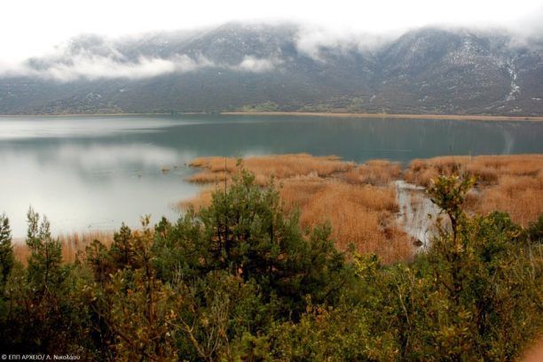 Ούτε για την προστασία των Πρεσπών δεν νοιάστηκαν οι ελληνικές κυβερνήσεις