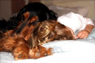 Ο Κούκι και ο Αιμίλιος την ώρα του ύπνου