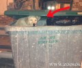Πλατανότοπος Καβάλας: Έκλεισαν τον σκύλο στον σκουπιδοτενεκέ για πλάκα;