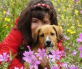 Χ. Καραγιάννης: Η επίβλεψη παιδιών & σκυλιών είναι απολύτως απαραίτητη για την αρμονική τους συμβίωση (ηχητικό)