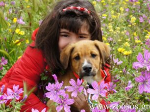 Χ. Καραγιάννης: Η επίβλεψη παιδιών & σκυλιών είναι απολύτως απαραίτητη για την αρμονική τους συμβίωση (ηχητικό)