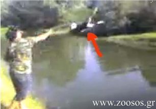 Πετάει τον σκύλο στο ποτάμι για πλάκα (βίντεο)