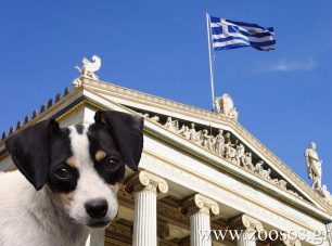 Υπό την αιγίδα του Καποδιστριακού Παν. Αθηνών η ημερίδα για τα εγκλήματα εις βάρος των ζώων