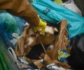 Θεσσαλονίκη: 9 κουτάβια νεκρά κλεισμένα σε σακούλα & πεταμένα σκουπιδοτενεκέ
