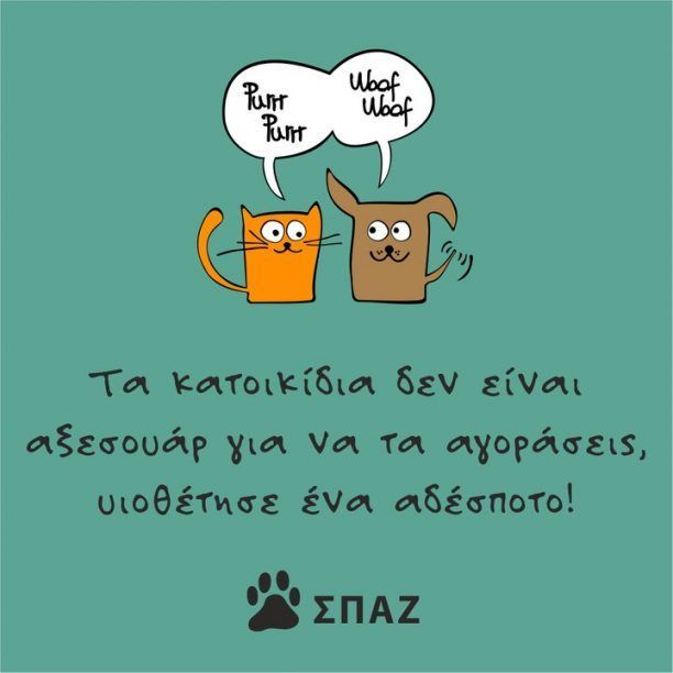 Υιοθέτησε και μην αγοράζεις!