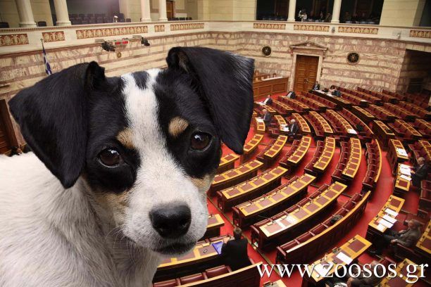 Ερώτηση στη Βουλή για τα «επιθετικά» ζώα