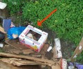 Βρήκε τα κουτάβια πεταμένα στα σκουπίδια στη Ζάκυνθο