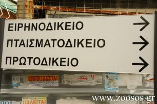 Αμαλιάδα: Τον αθώωσαν αν και πέταξε το σκυλί από το μπαλκόνι