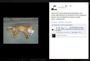Μέσω facebook παραδέχεται ότι εξοντώνει σκυλιά με φόλες
