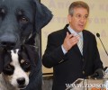 Δήμαρχος Σερρών: Οι φιλόζωοι ας πάρουν τα αδέσποτα σκυλιά στα σπίτια τους (βίντεο)